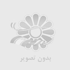 پیستوله چیست؟